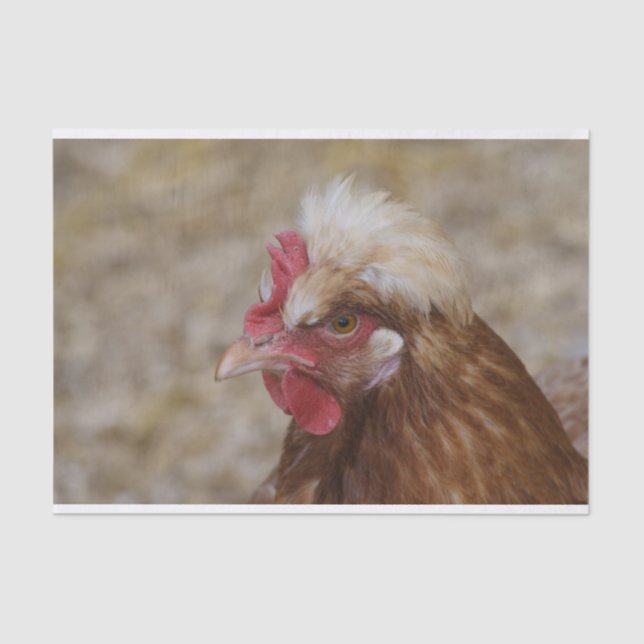 Papier Mousseline Sulmtaler Hen (Recto)