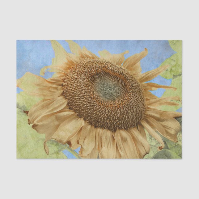 Papier Mousseline Sunflower Blue Boho Russe Country Floral (Recto)