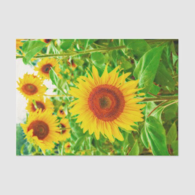 Papier Mousseline Sunflower Country Green Jaune Floral Decoupage (Recto)