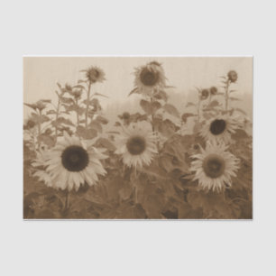 Papier Mousseline Sunflower Field Sepia Art Vintage