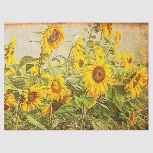 Papier Mousseline Sunflower Field Vintage Antique Yellow Decoupage (Recto)