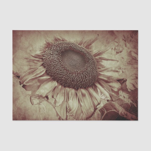 Papier Mousseline Sunflower Sepia Brown Antique Vintage (Recto)