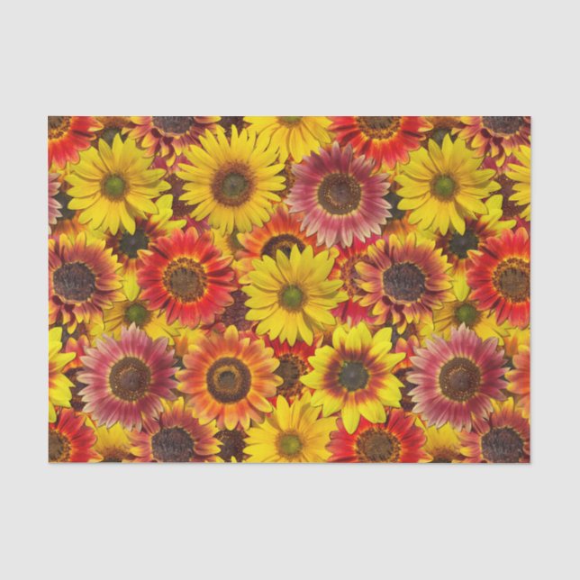 Papier Mousseline Sunflowers Motif sans couture (Recto)