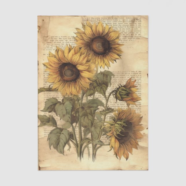 Papier Mousseline Sunflowers on Worn Style Parchment with Script (Recto)