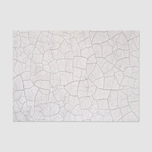 Papier Mousseline Surface fissurée (Recto)