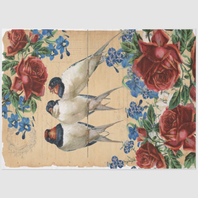 Papier Mousseline Swallows (Recto)