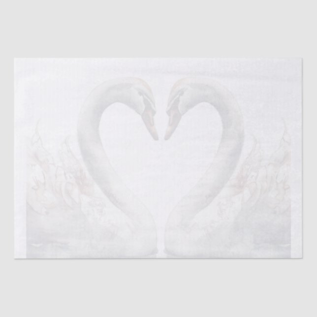 Papier Mousseline Swan (Recto)