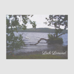 Papier Mousseline Swans sur Loch Lomond