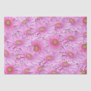 Papier Mousseline Symphonie de Gerberas roses,