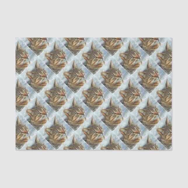 Papier Mousseline Tabby Cat Étonnant Gros Plan Graphite Portra (Recto)