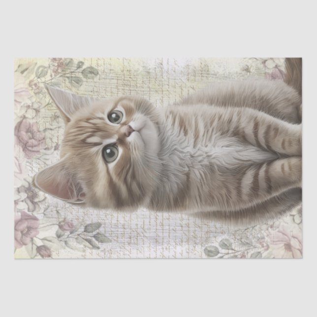 Papier Mousseline Tabby Floral Chat Kitten (Recto)