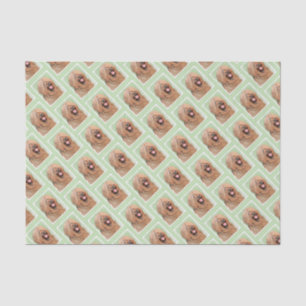Papier Mousseline Tableau de bord - Joli art original chien