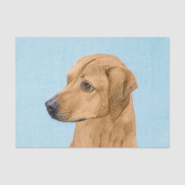 Papier Mousseline Tableau Rhodesian Ridgeback - Art Chien original (Recto)