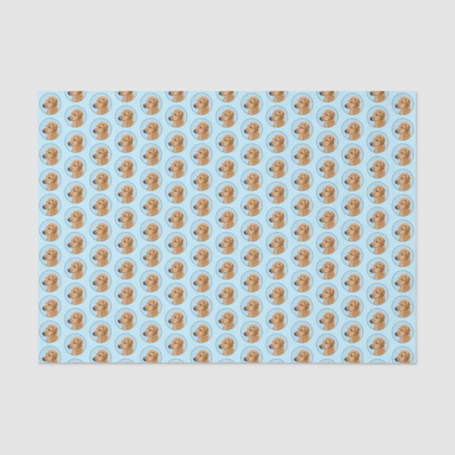 Papier Mousseline Tableau Rhodesian Ridgeback - Art Chien original (Recto)