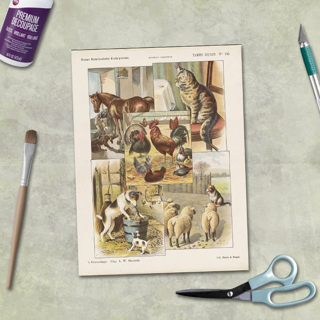 Papier Mousseline Tame Farm Animal Collection Éphémère Découpage (Créateur téléchargé)