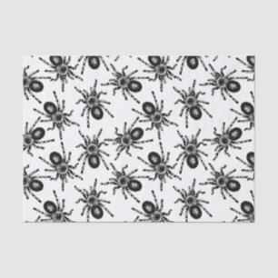 Papier Mousseline Tarantula