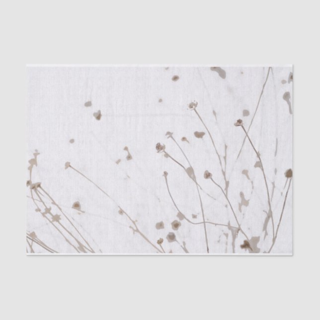 Papier Mousseline Taupe blanc subtil graphique de marguerites sec (Recto)