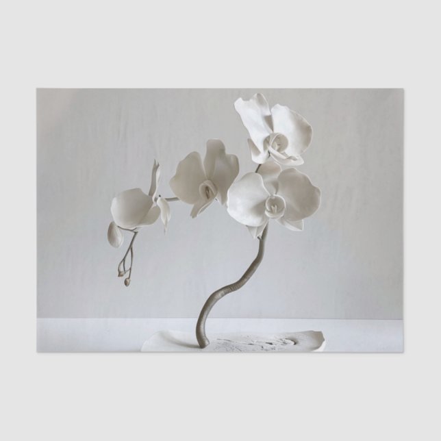 Papier Mousseline Taupe orchidée neutre en céramique (Recto)