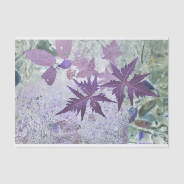 Papier Mousseline Teinte pastel violet et bruyère (Recto)