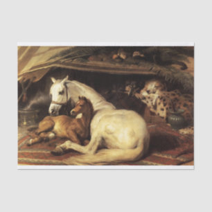 PAPIER MOUSSELINE TENTE ARABE AVEC CHEVAUX, AUTRES ANIMAUX