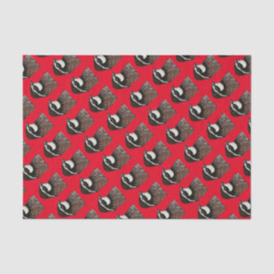 Papier Mousseline Tête de Queue Bobwhite