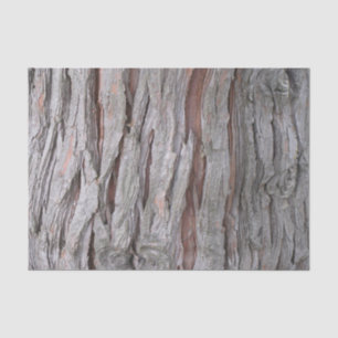Papier Mousseline Texture d'écorce d'arbre de cèdre