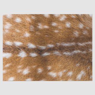Papier Mousseline Texture repérée de fourrure de cerfs communs