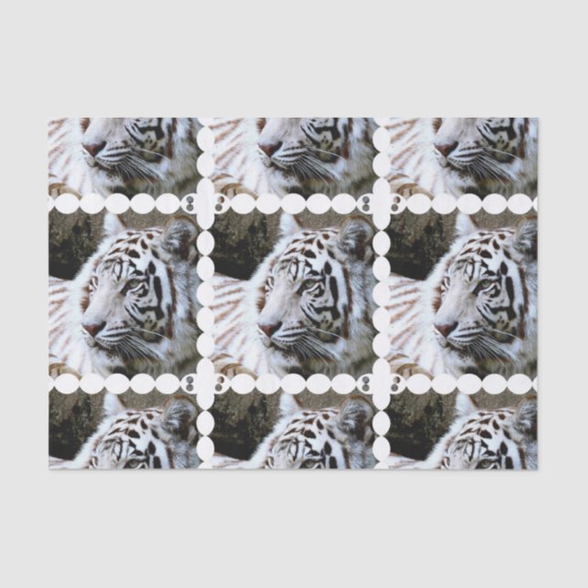 Papier Mousseline Tigre blanc mignon (Recto)