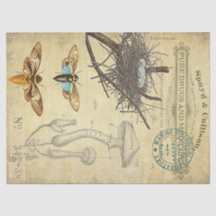 Papier Mousseline Tissu de Decoupage d'apothicaire