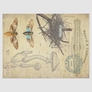 Papier Mousseline Tissu de Decoupage d'apothicaire