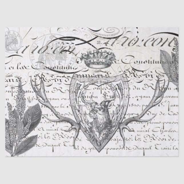 Papier Mousseline Tissu de Decoupage d'éphémères de mâle (Recto)