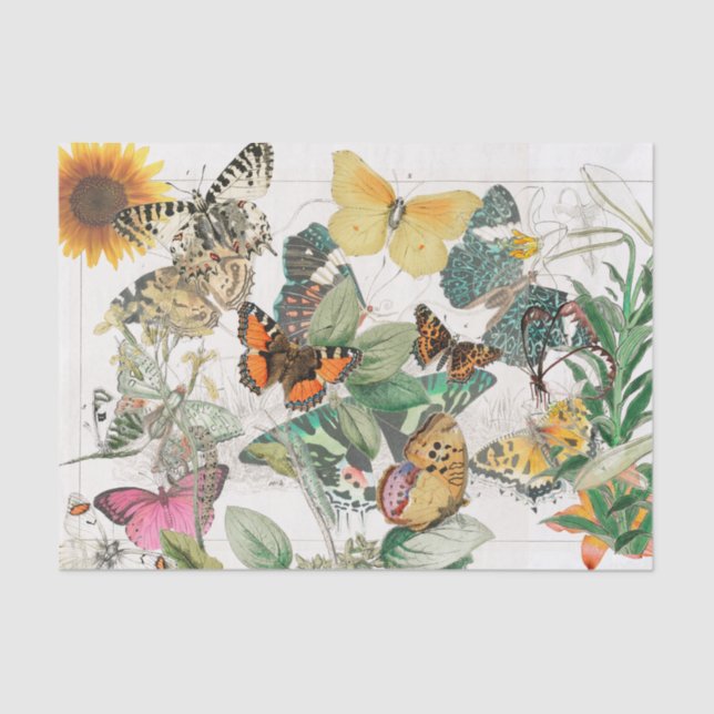 Papier Mousseline Tissu Papier à papillon Tournesol (Recto)