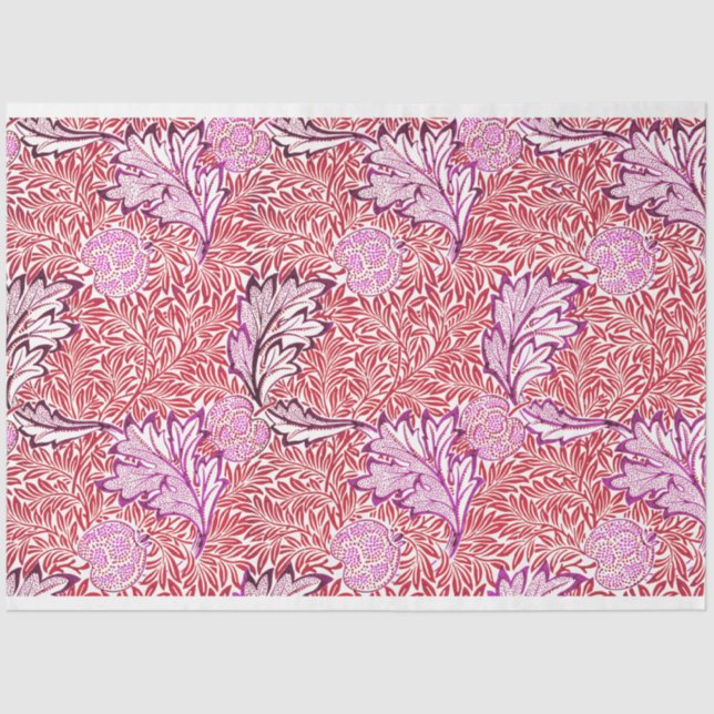 PAPIER MOUSSELINE TISSUE PAPER : WILLIAM MORRIS : POMME (Recto)