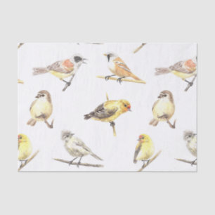 Papier Mousseline Tit birds motif