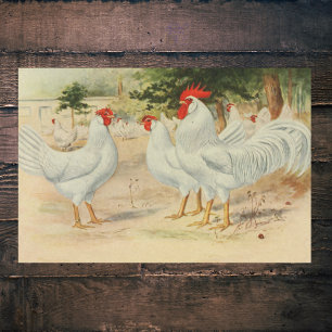 Papier Mousseline Toîtres vintages de ferme Peigne unique Leghorns b