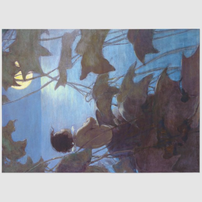 Papier Mousseline Tom regarde la lune, Jessie Willcox Smith (Recto)