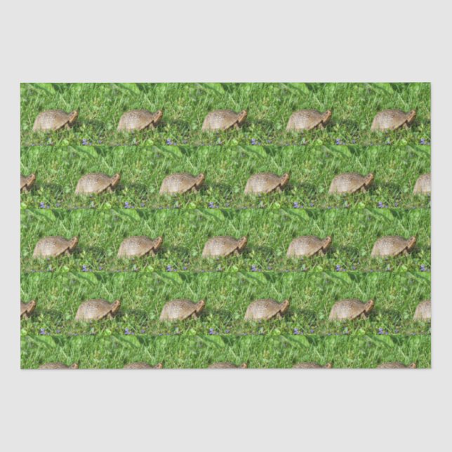 Papier Mousseline Tortue (Recto)