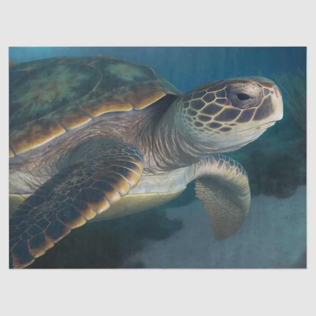 Papier Mousseline Tortue de mer (Recto)