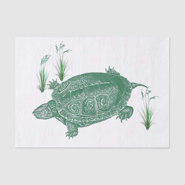 Papier Mousseline Tortue de mer verte (Recto)
