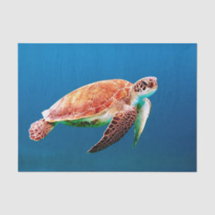 Papier Mousseline Tortue de mer verte