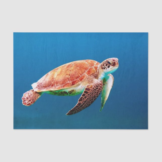 Papier Mousseline Tortue de mer verte (Recto)