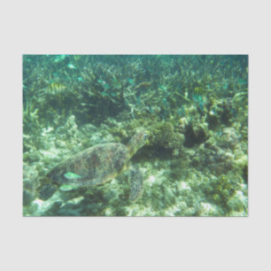 Papier Mousseline Tortue de mer verte, poisson tropical et corail