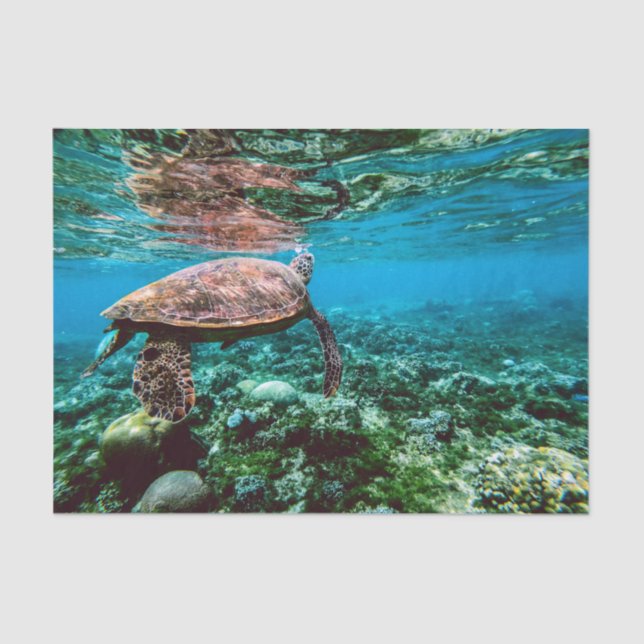 Papier Mousseline Tortue sous-marine tropicale (Recto)
