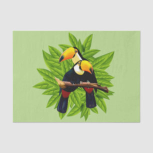 Papier Mousseline Toucan Duo Green