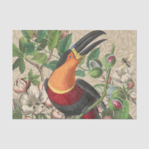 Papier Mousseline Toucan Jungle Tropical Bird Belle antique