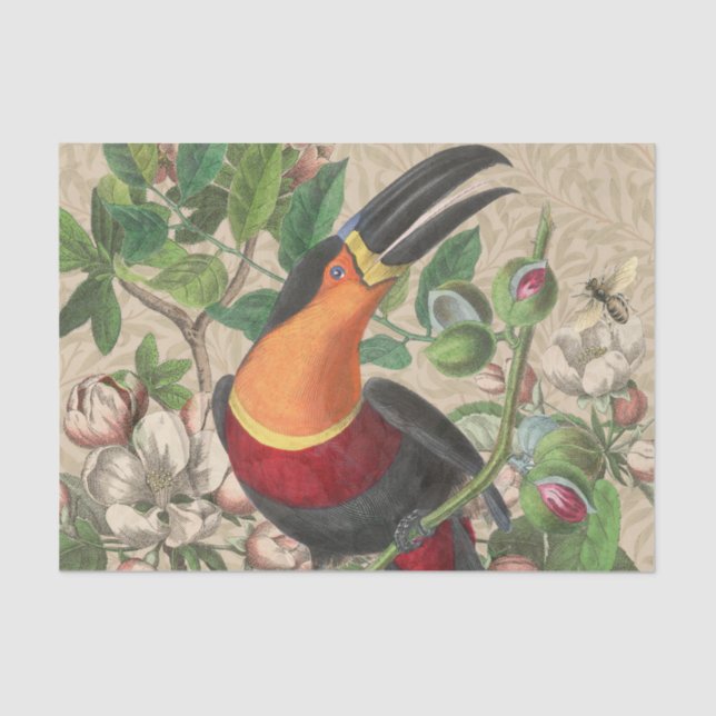Papier Mousseline Toucan Jungle Tropical Bird Belle antique (Recto)