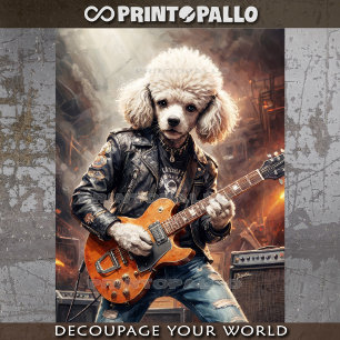 Papier Mousseline Touche de guitare par un Poodle Rocky lors d'un co