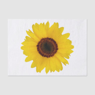 Papier Mousseline Tournesol