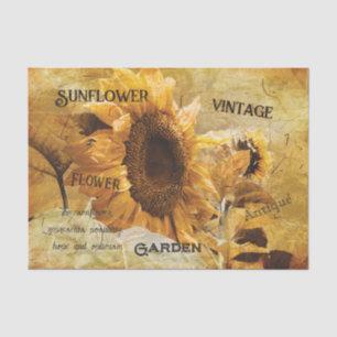 Papier Mousseline Tournesol Jaune Belle campagne Ephémère Script