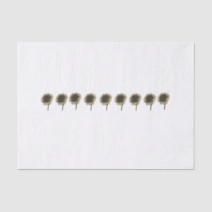 Papier Mousseline Tournesol Live, Rire, Amour